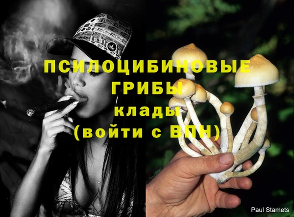 бошки Армянск